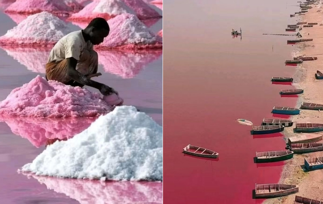 Lake Retba is one of the known tourist attractions in Senegal.