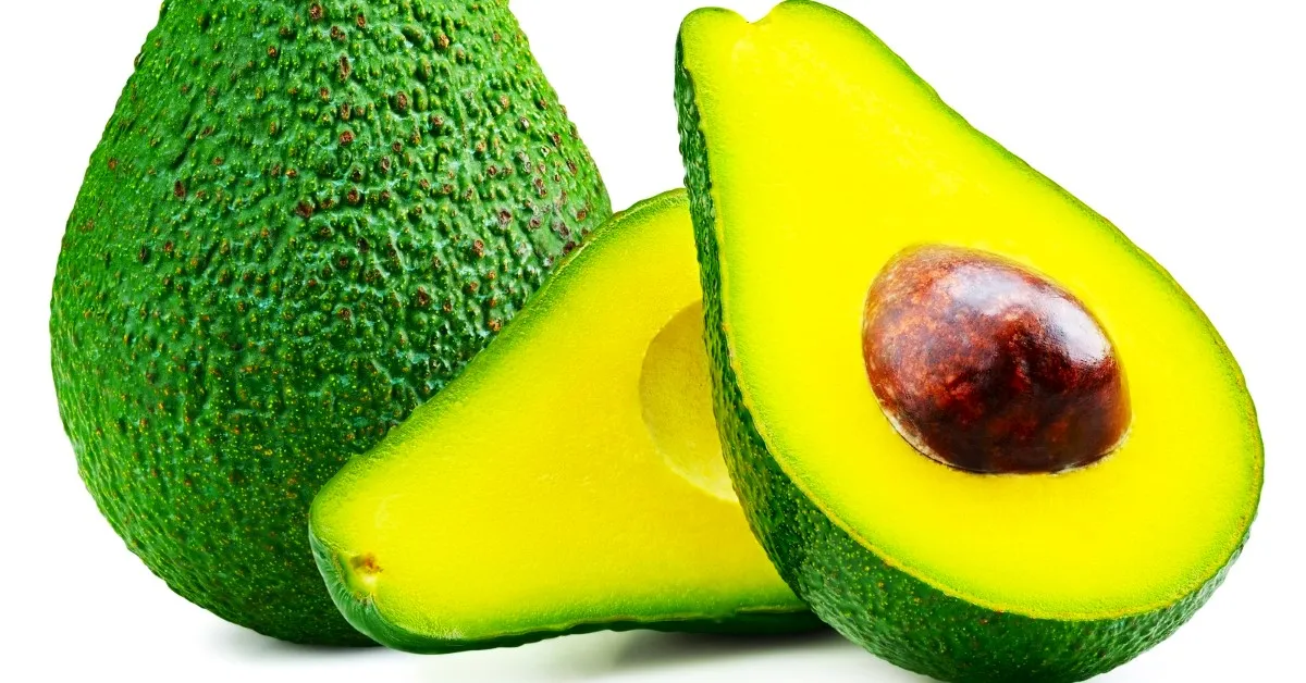 The Tanzania avocado exports has largely been boosted by well-trained smallholder farmers who have increased their farming of the fruit.